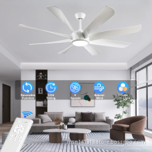 60 Inch Large Modern Ceiling Fan with Light